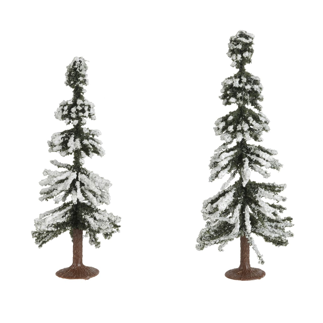 Mini Redwood Trees by Ashland&#xAE;
